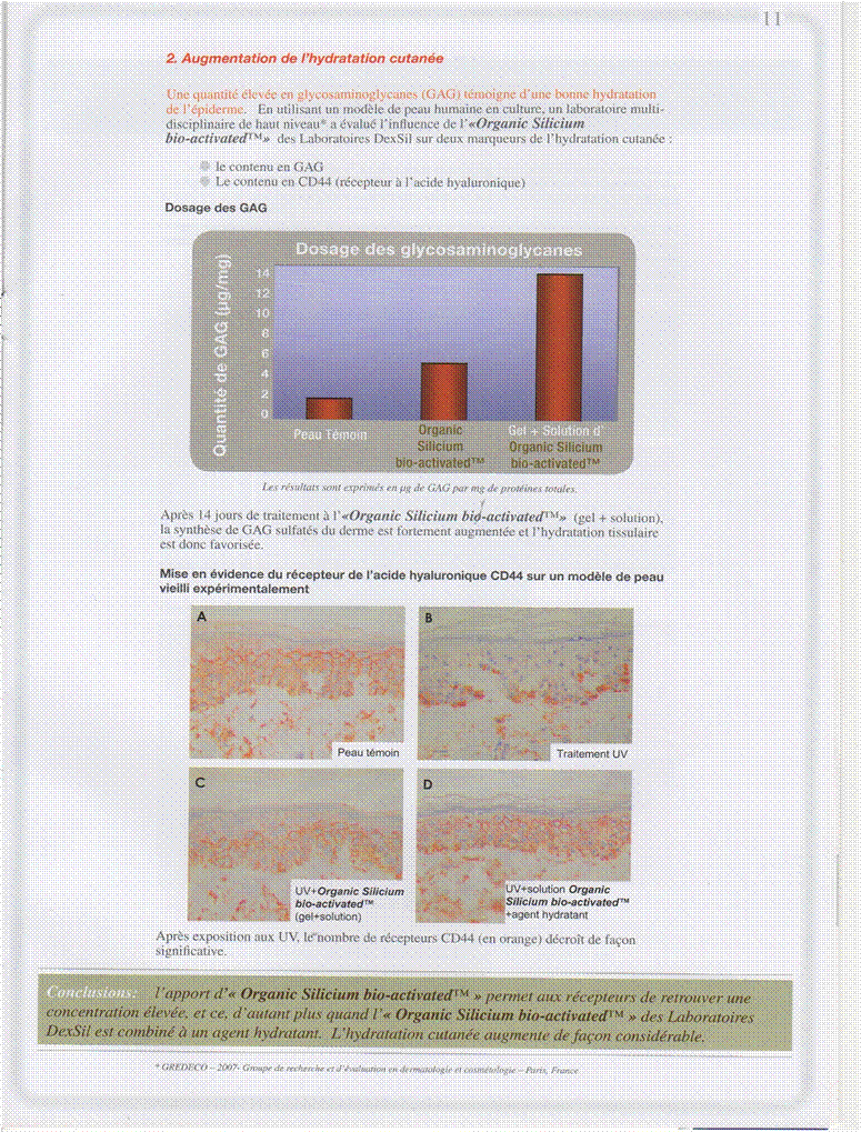 DEXSIL-INFO-N-1-09-2008-P-11.jpg