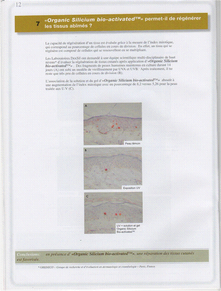 DEXSIL-INFO-N-1-09-2008-P-12.jpg