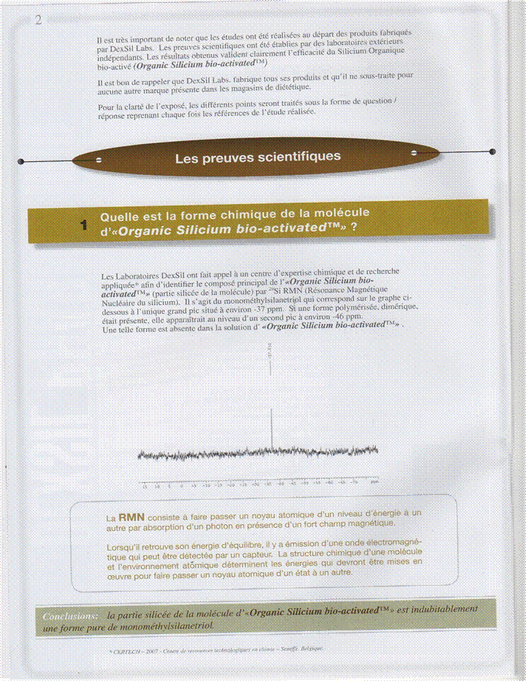 DEXSIL-INFO-N-1-09-2008-P-02.jpg