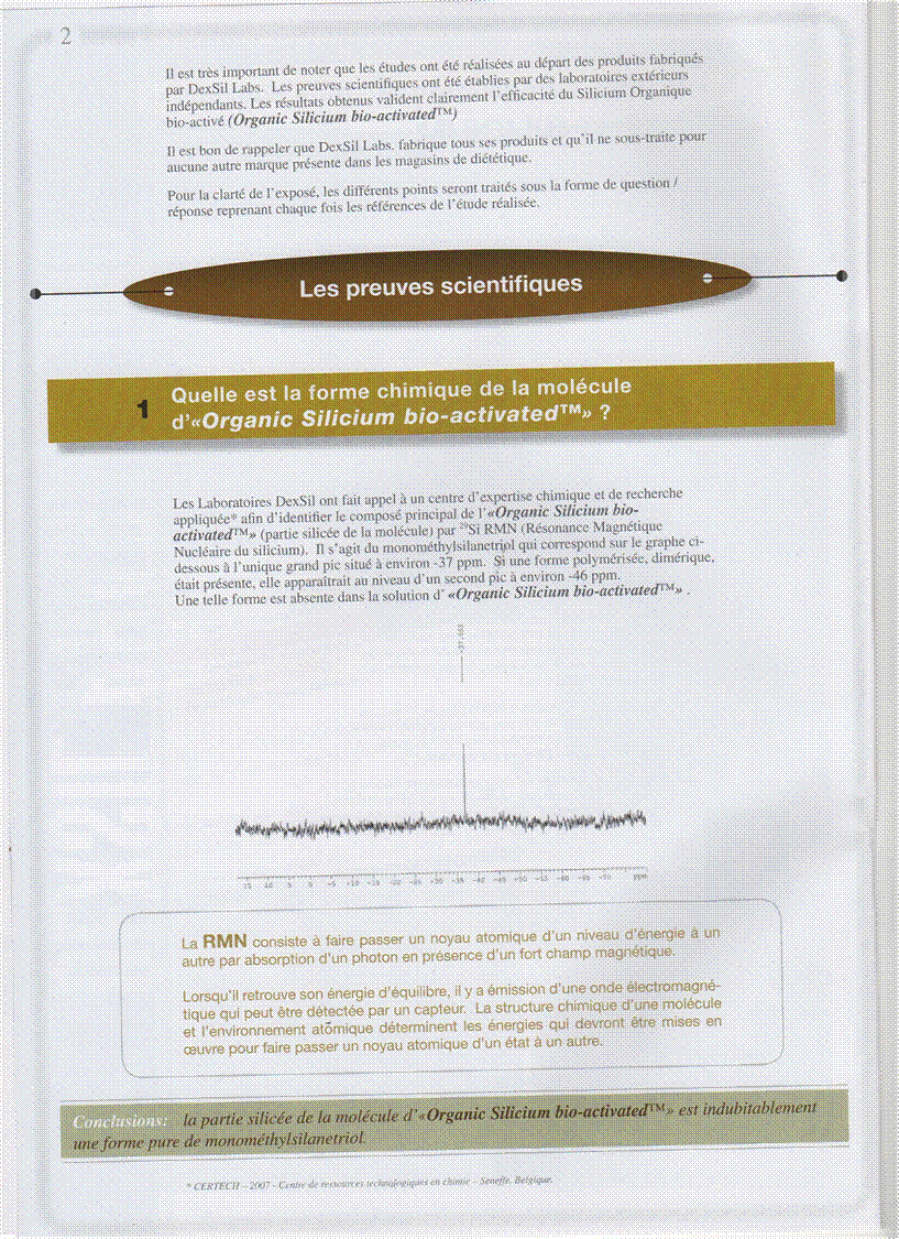 DEXSIL-INFO-N-1-09-2008-P-02.jpg