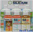 dexsil SIL26