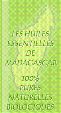 carte-mada2